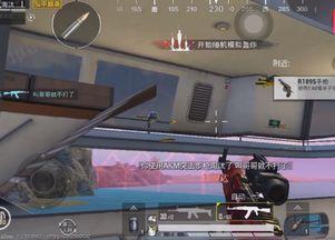 和平精英海贼王爆料最新,探寻神秘海贼宝藏，开启全新冒险篇章  第2张