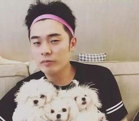 金晨爆料陈赫视频合集  第3张