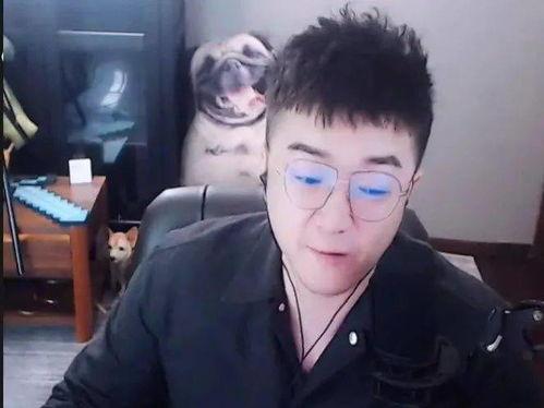 老歪爆料直播间最新视频,老歪最新视频内容大曝光！  第2张