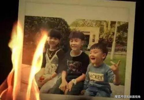 豪哥邻居爆料视频,一场意想不到的邻里风云  第3张