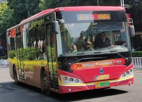 20路公交车爆料视频,揭秘日常出行中的温馨瞬间  第2张