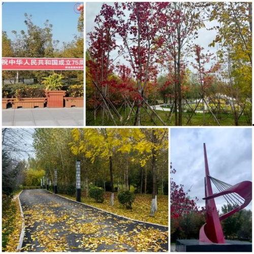 桦南县澜亭水汇最新爆料,揭秘神秘项目背后的真相！”  第3张