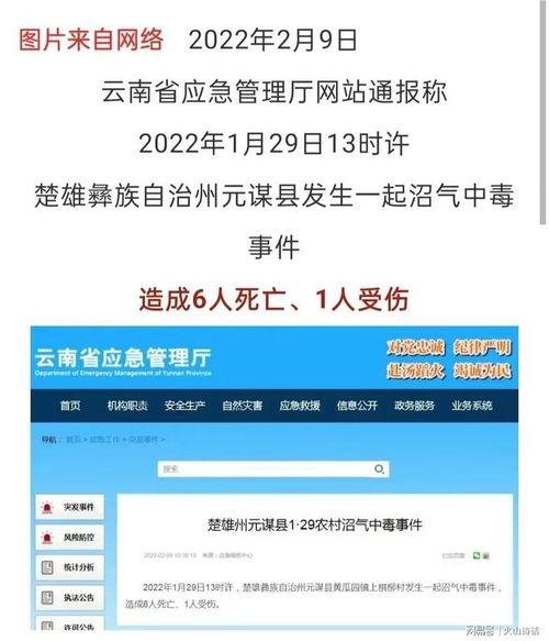 彭州网友爆料新闻事件,惊现神秘事件，真相令人震惊！  第3张