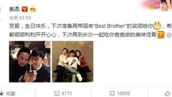 小赵娱乐爆料视频大全,热门视频大全大放送！  第3张