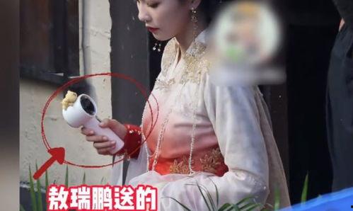 王大锤爆料白鹿视频大全,白鹿视频大全背后的精彩瞬间  第2张